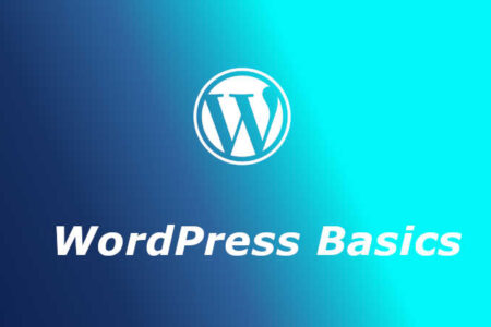 WordPress Basics